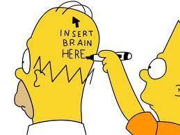 insert brain here
